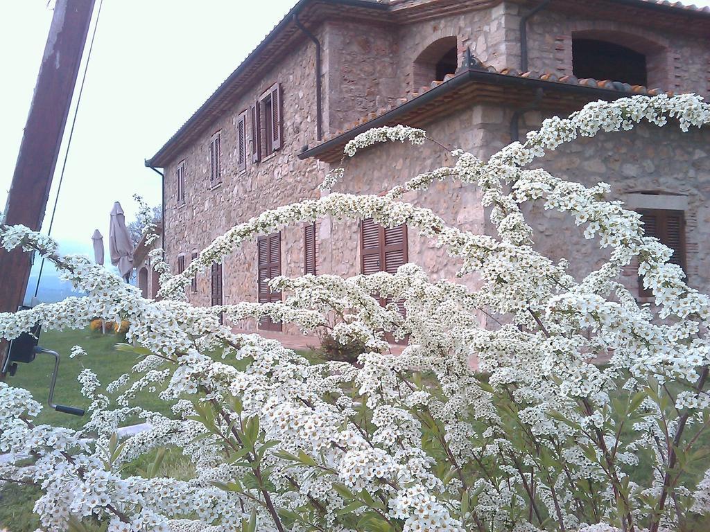 Agriturismo Il Poggiolo Montemerano Exteriér fotografie
